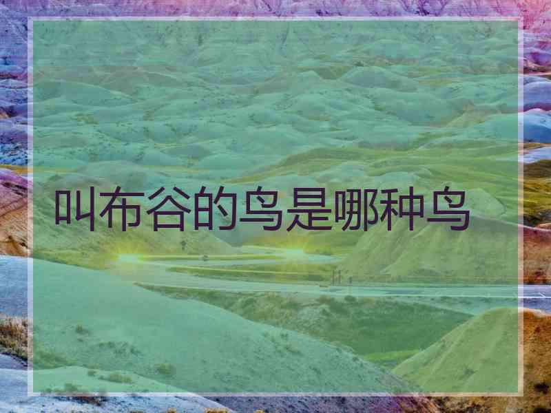 叫布谷的鸟是哪种鸟