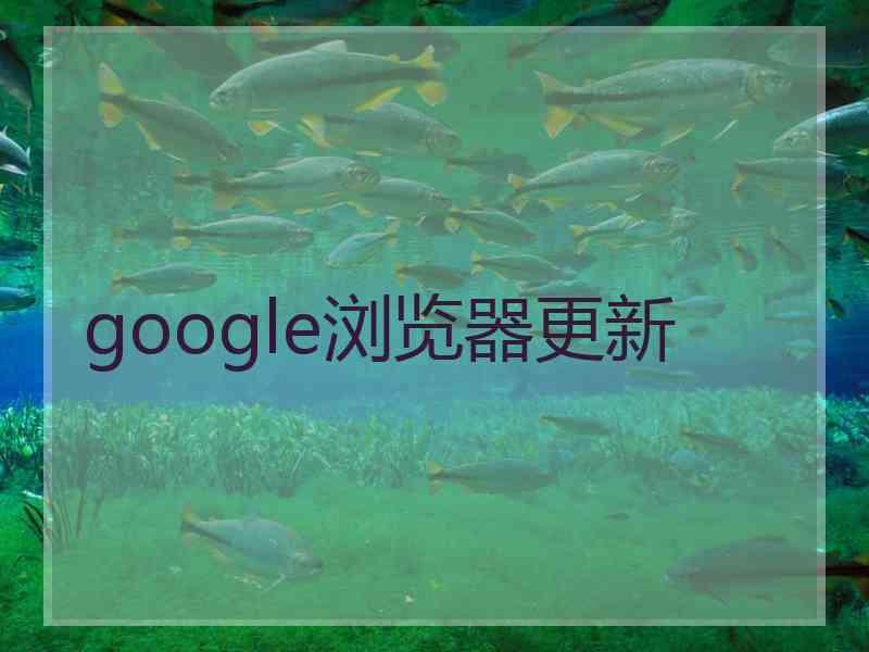 google浏览器更新