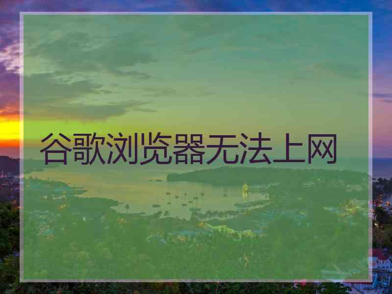 谷歌浏览器无法上网