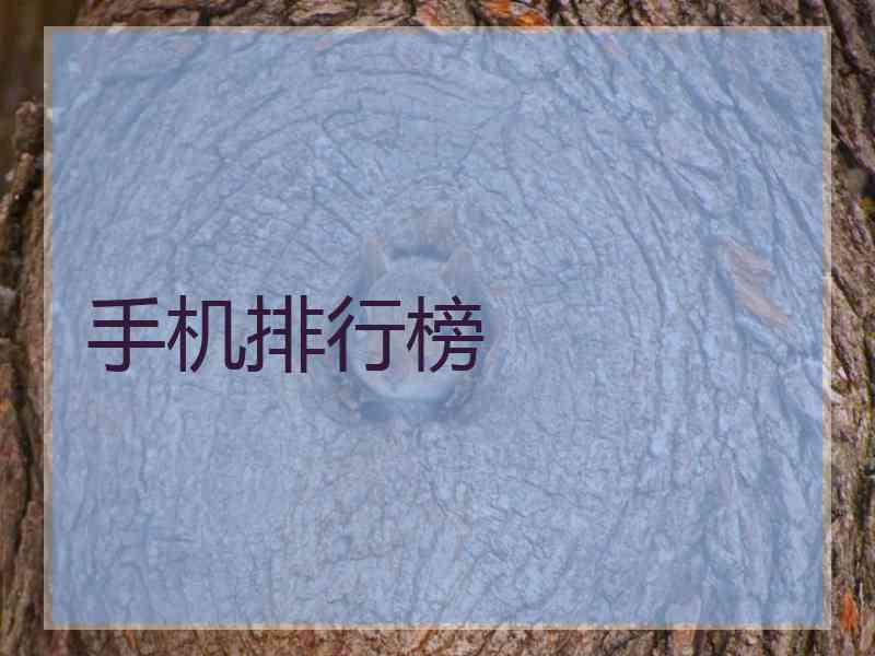 手机排行榜