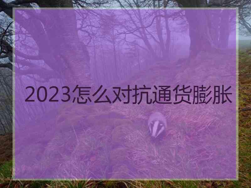 2023怎么对抗通货膨胀