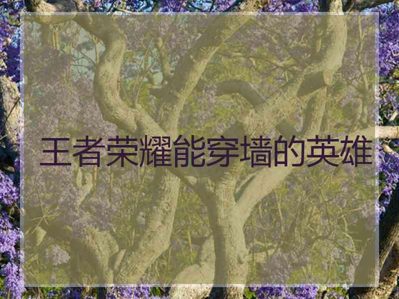 王者荣耀能穿墙的英雄
