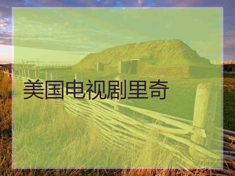 美国电视剧里奇