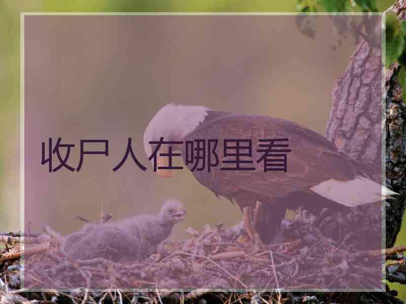 收尸人在哪里看