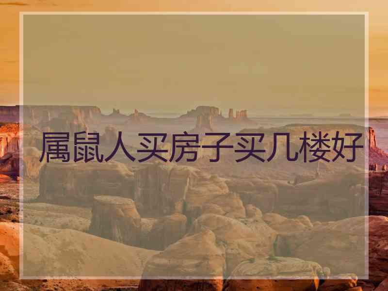 属鼠人买房子买几楼好