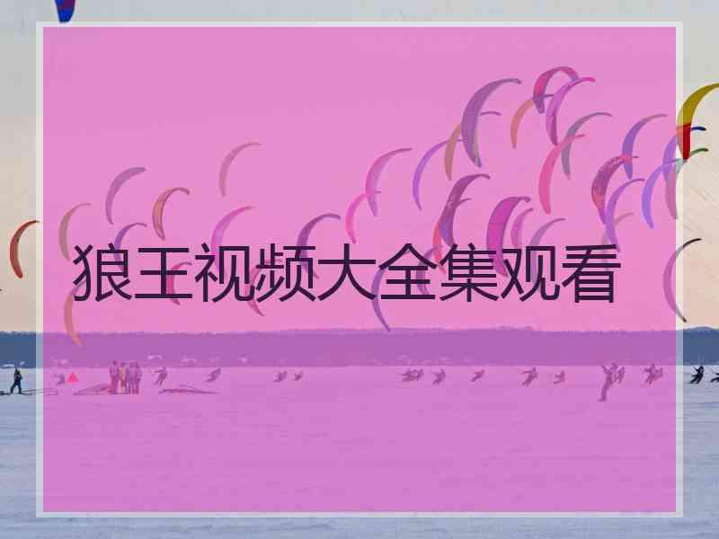 狼王视频大全集观看
