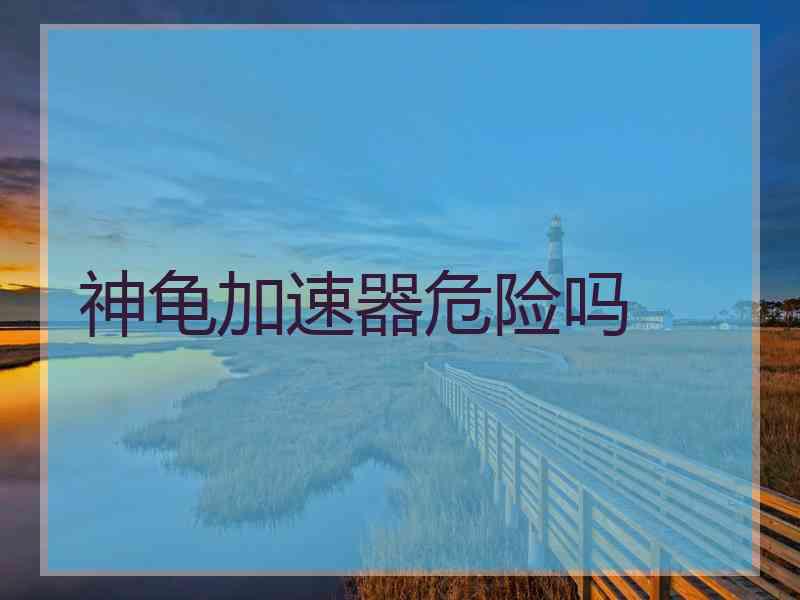 神龟加速器危险吗