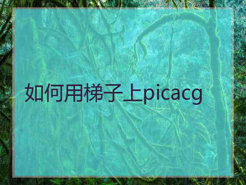 如何用梯子上picacg