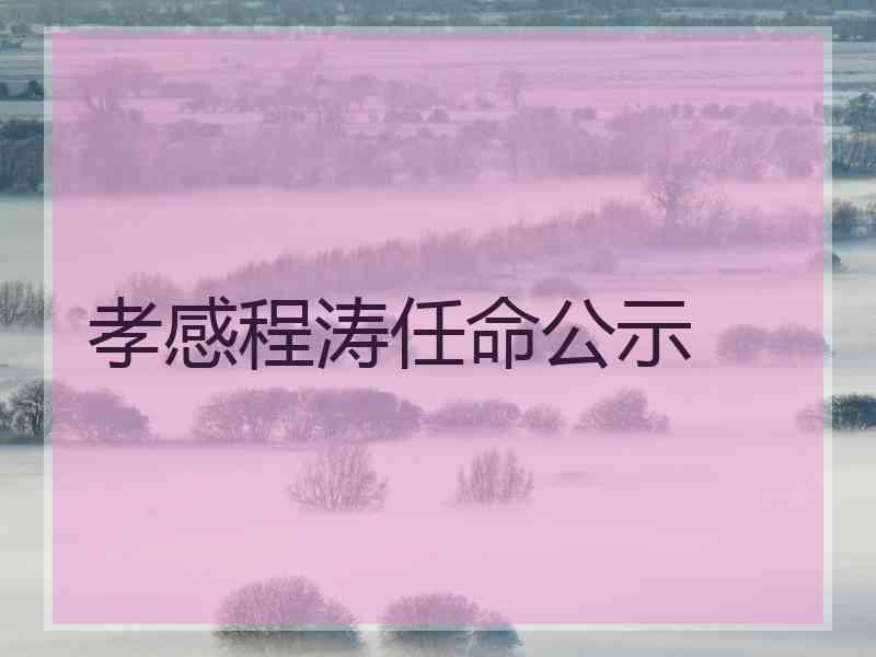 孝感程涛任命公示
