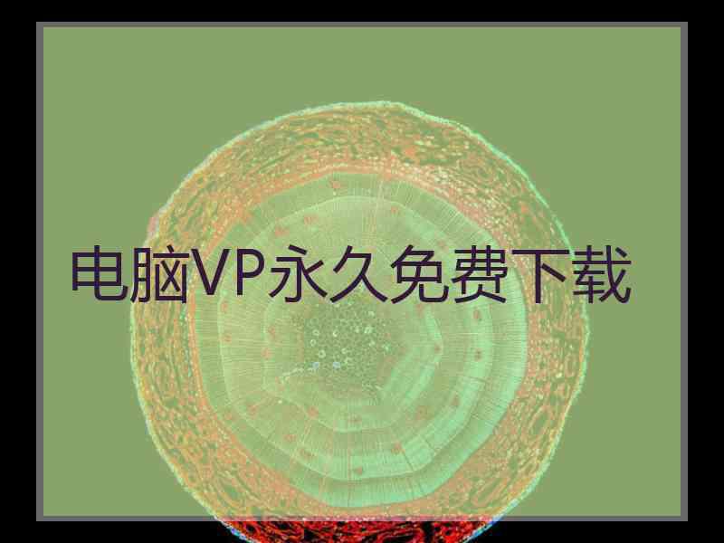 电脑VP永久免费下载