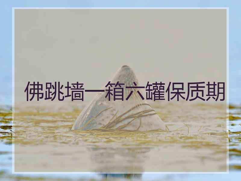 佛跳墙一箱六罐保质期