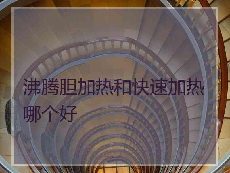 沸腾胆加热和快速加热哪个好