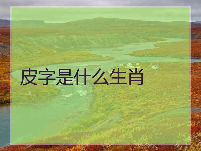 皮字是什么生肖