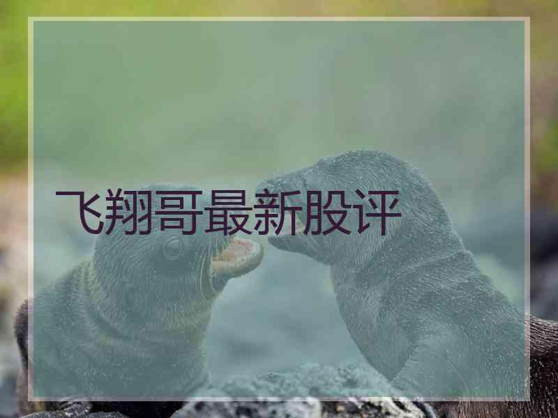 飞翔哥最新股评