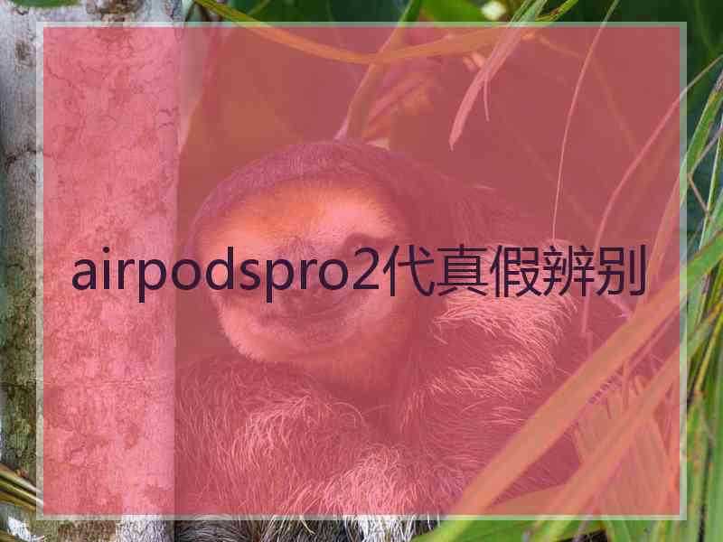 airpodspro2代真假辨别