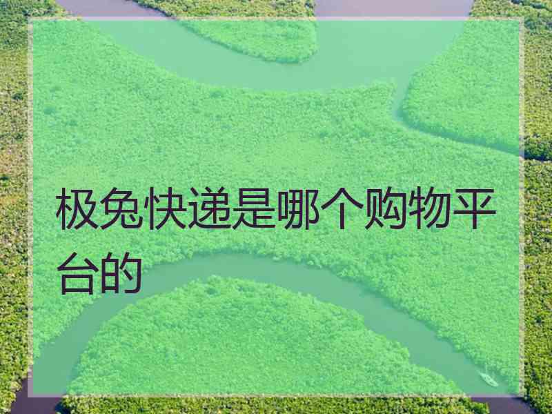 极兔快递是哪个购物平台的