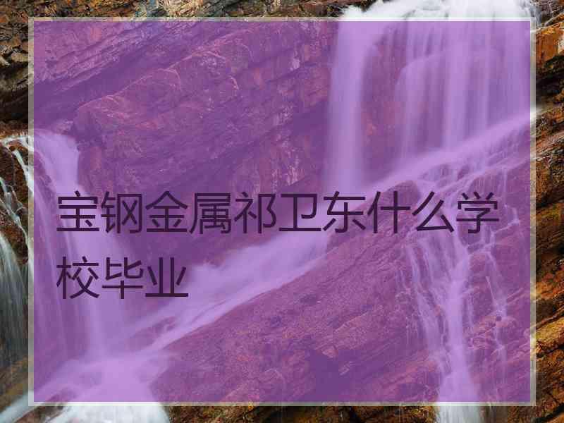 宝钢金属祁卫东什么学校毕业