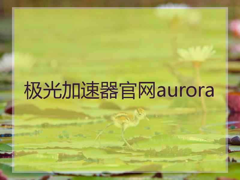 极光加速器官网aurora
