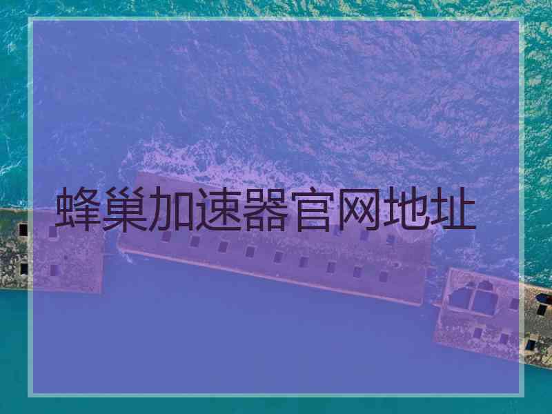 蜂巢加速器官网地址