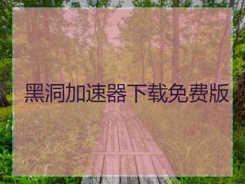 黑洞加速器下载免费版