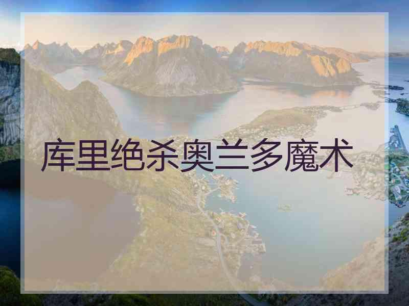 库里绝杀奥兰多魔术