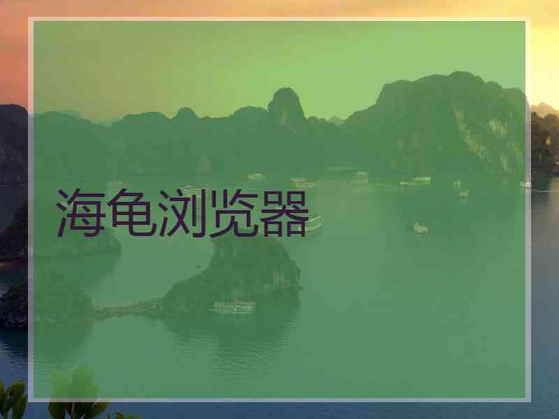 海龟浏览器