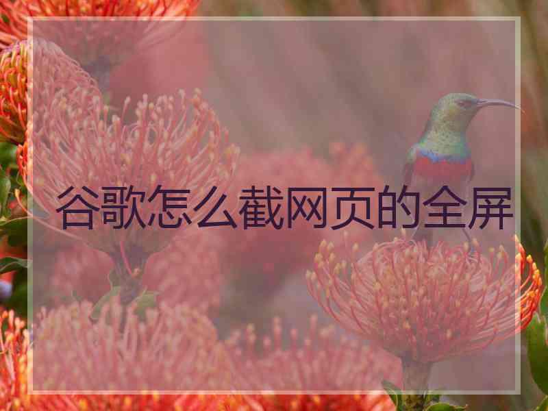 谷歌怎么截网页的全屏