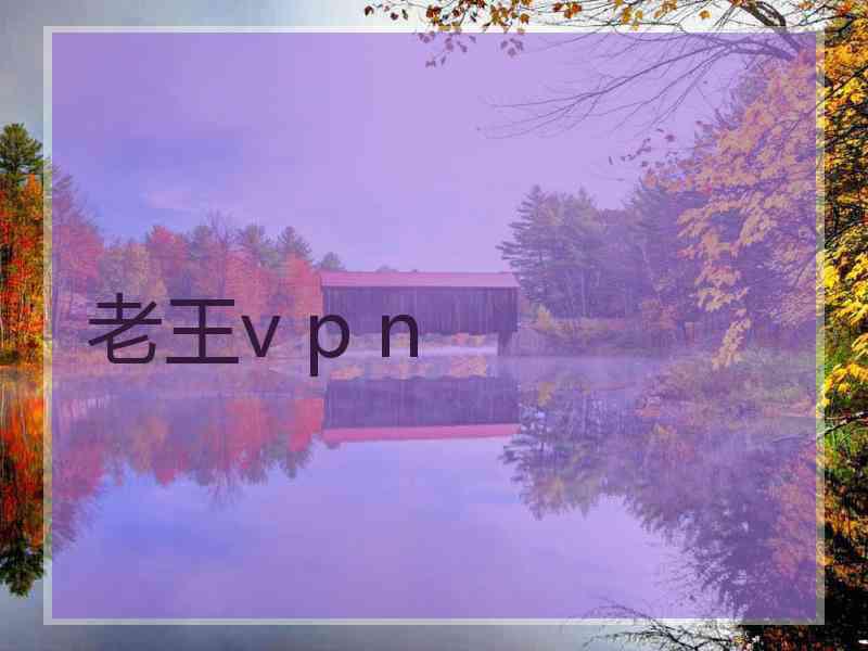 老王v p n