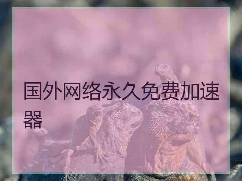国外网络永久免费加速器