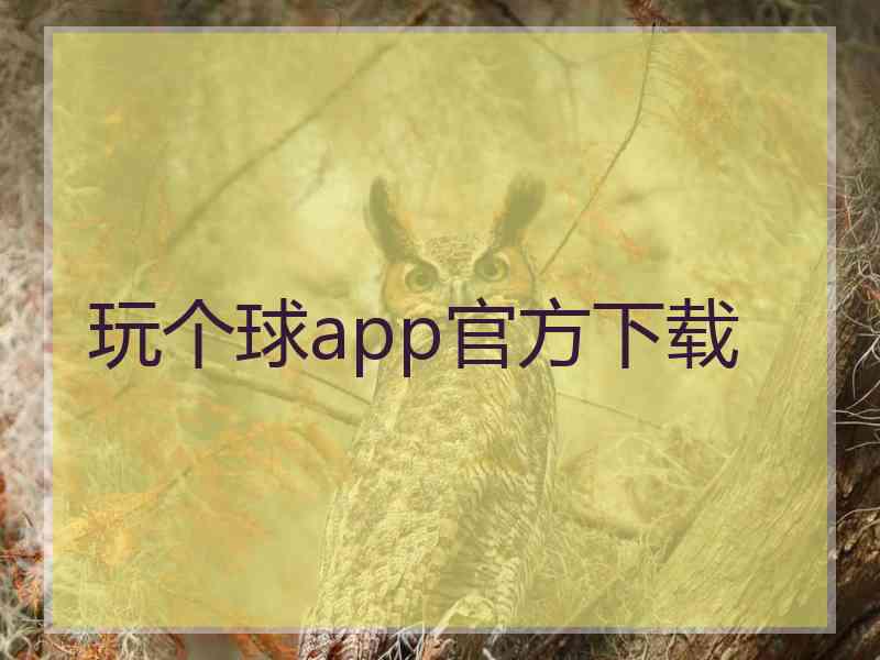 玩个球app官方下载