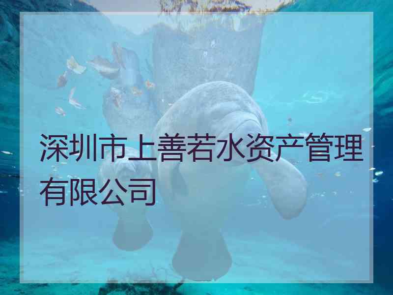 深圳市上善若水资产管理有限公司