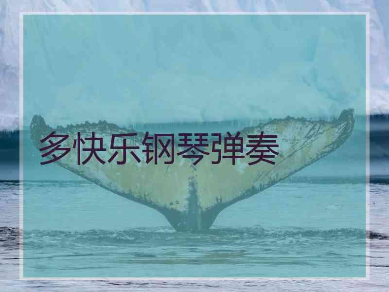 多快乐钢琴弹奏