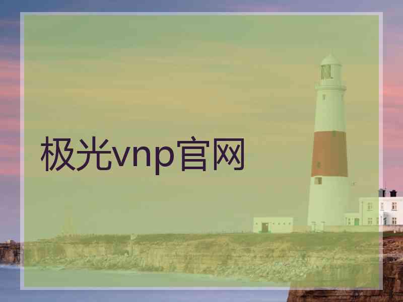 极光vnp官网