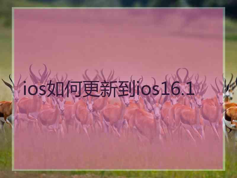 ios如何更新到ios16.1