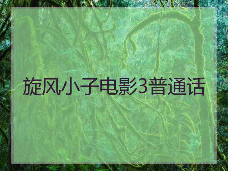 旋风小子电影3普通话
