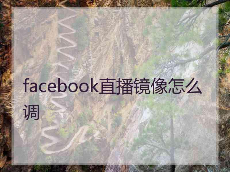 facebook直播镜像怎么调