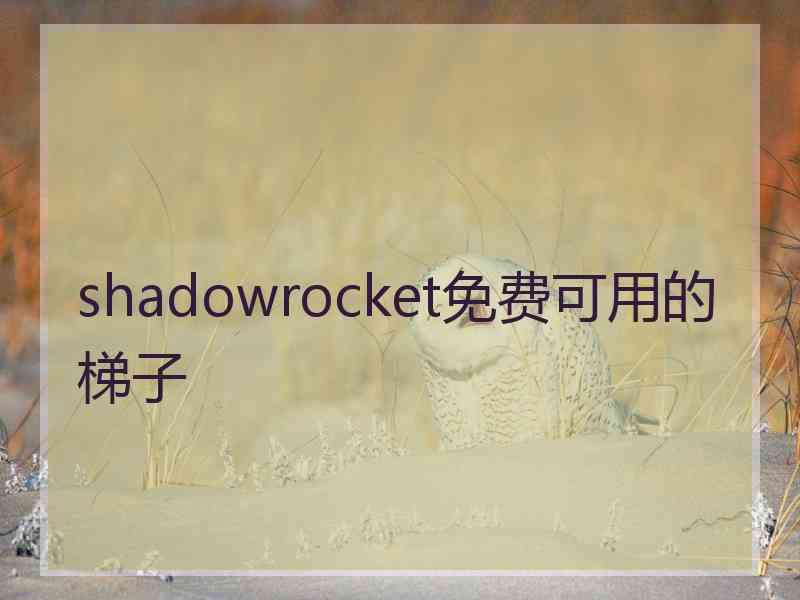 shadowrocket免费可用的梯子