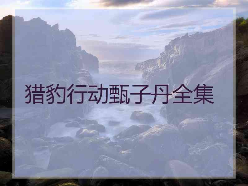猎豹行动甄子丹全集