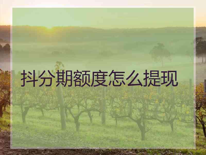 抖分期额度怎么提现