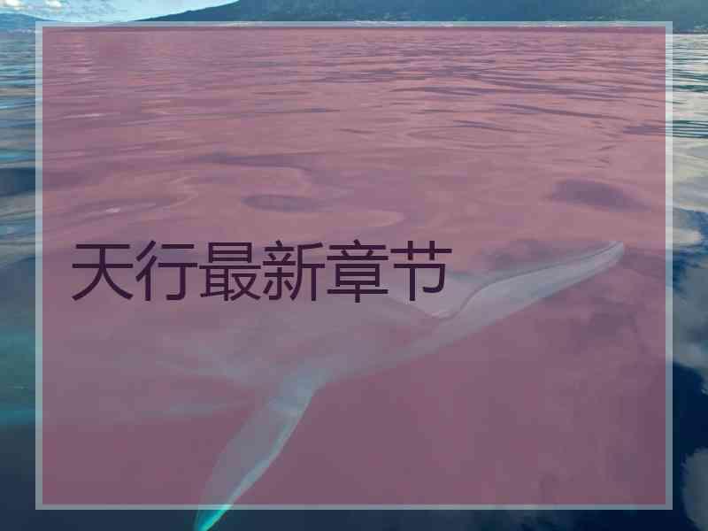 天行最新章节