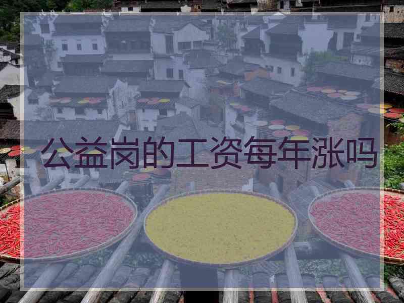 公益岗的工资每年涨吗