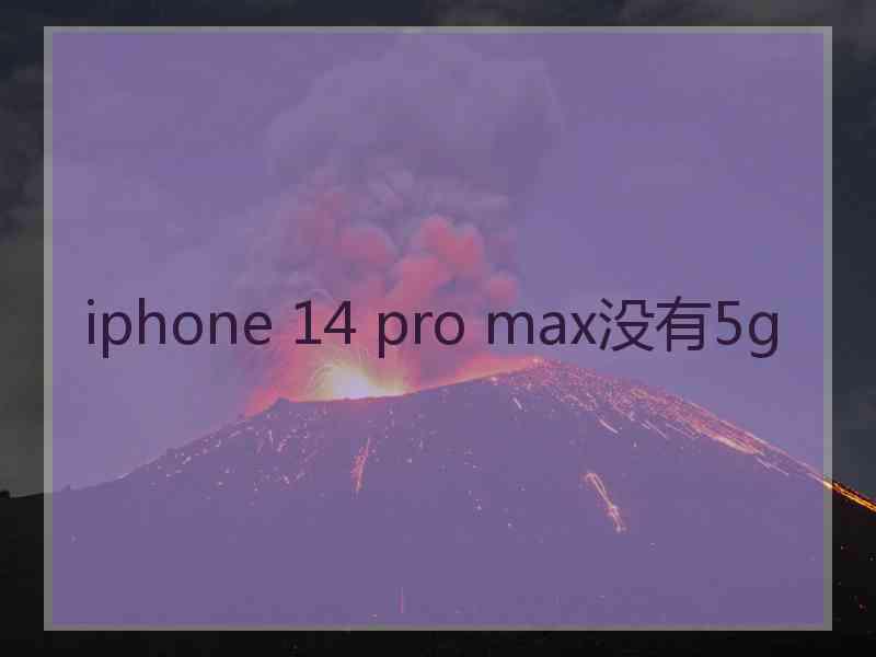 iphone 14 pro max没有5g