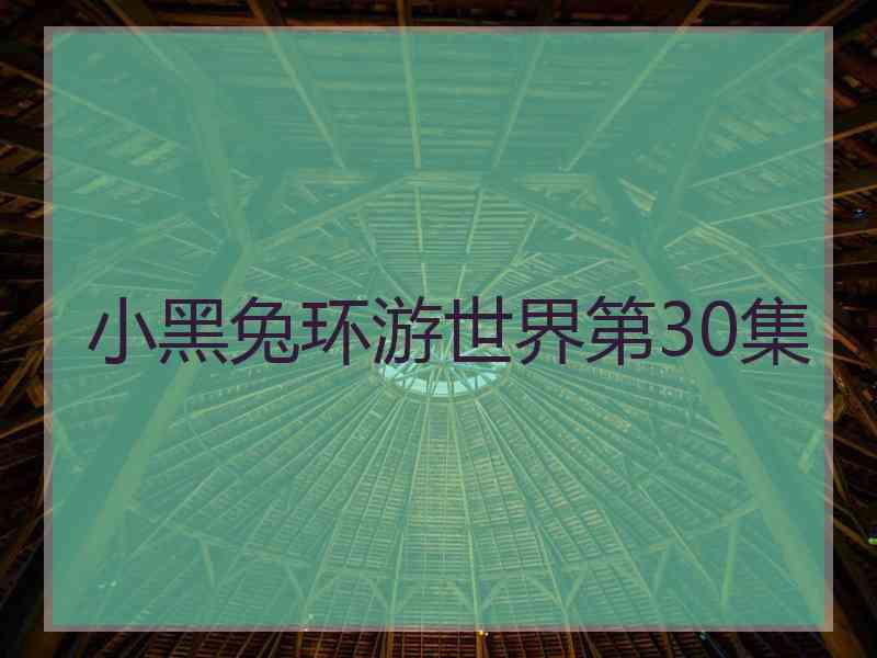 小黑兔环游世界第30集