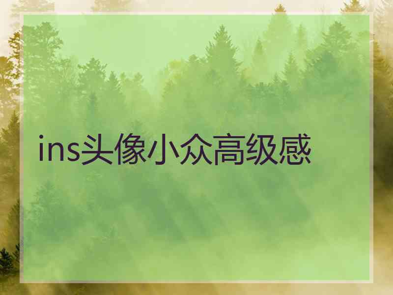 ins头像小众高级感