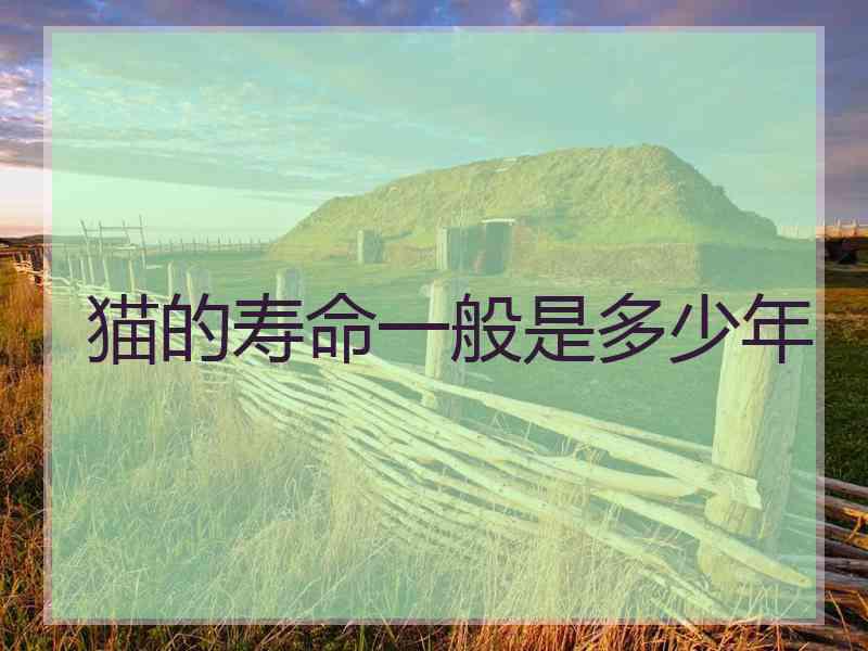 猫的寿命一般是多少年