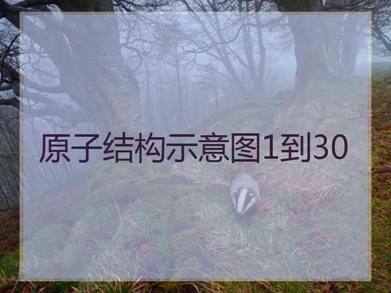 原子结构示意图1到30
