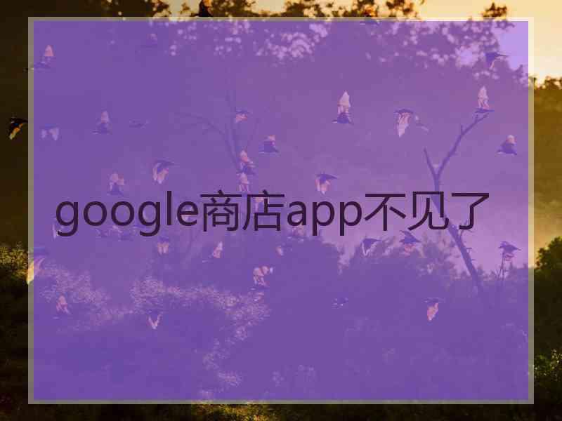 google商店app不见了