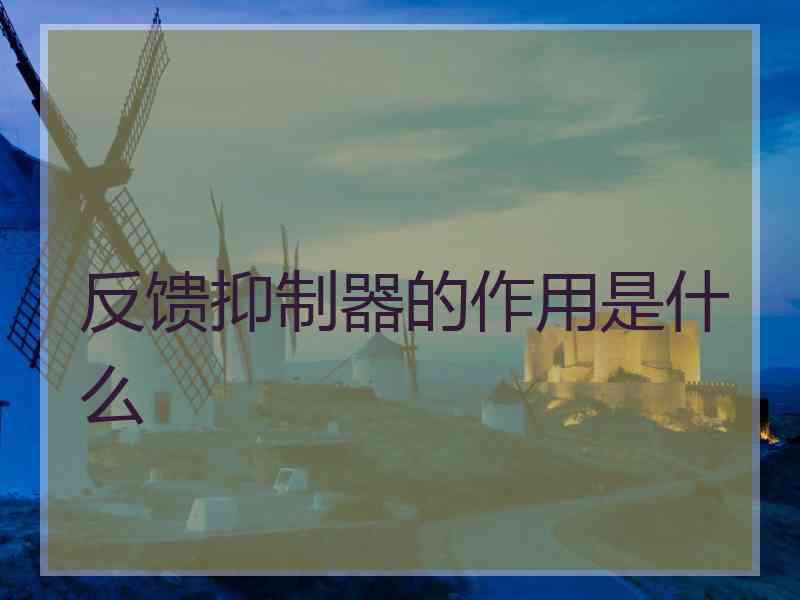反馈抑制器的作用是什么
