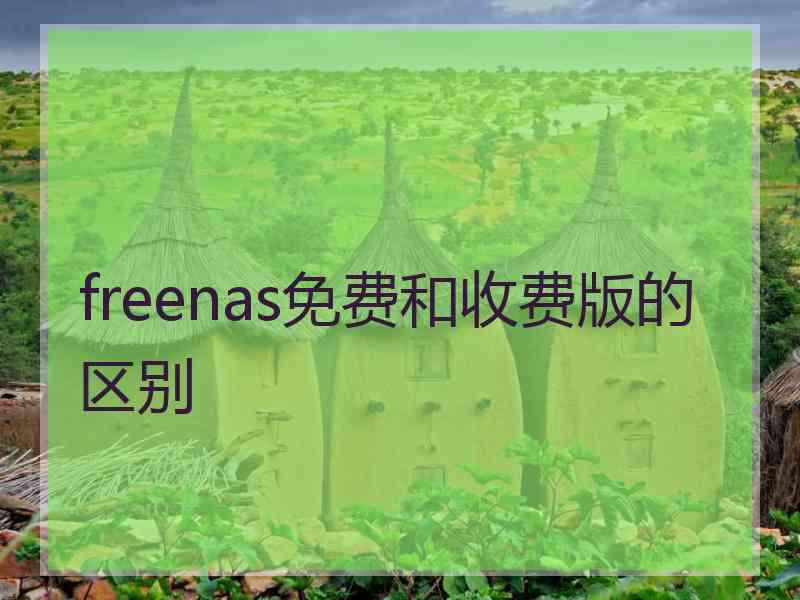 freenas免费和收费版的区别