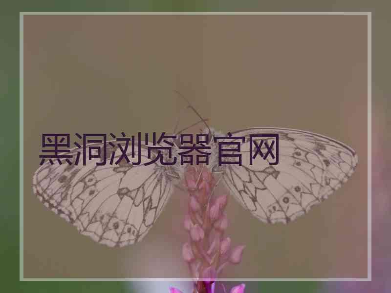 黑洞浏览器官网